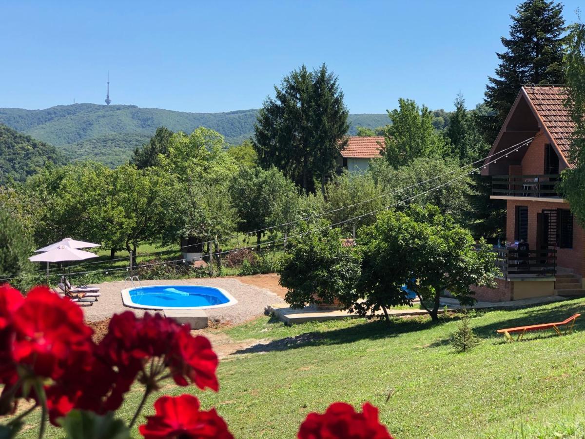 Vila Fruska Pool House Sremska Kamenica Exteriér fotografie