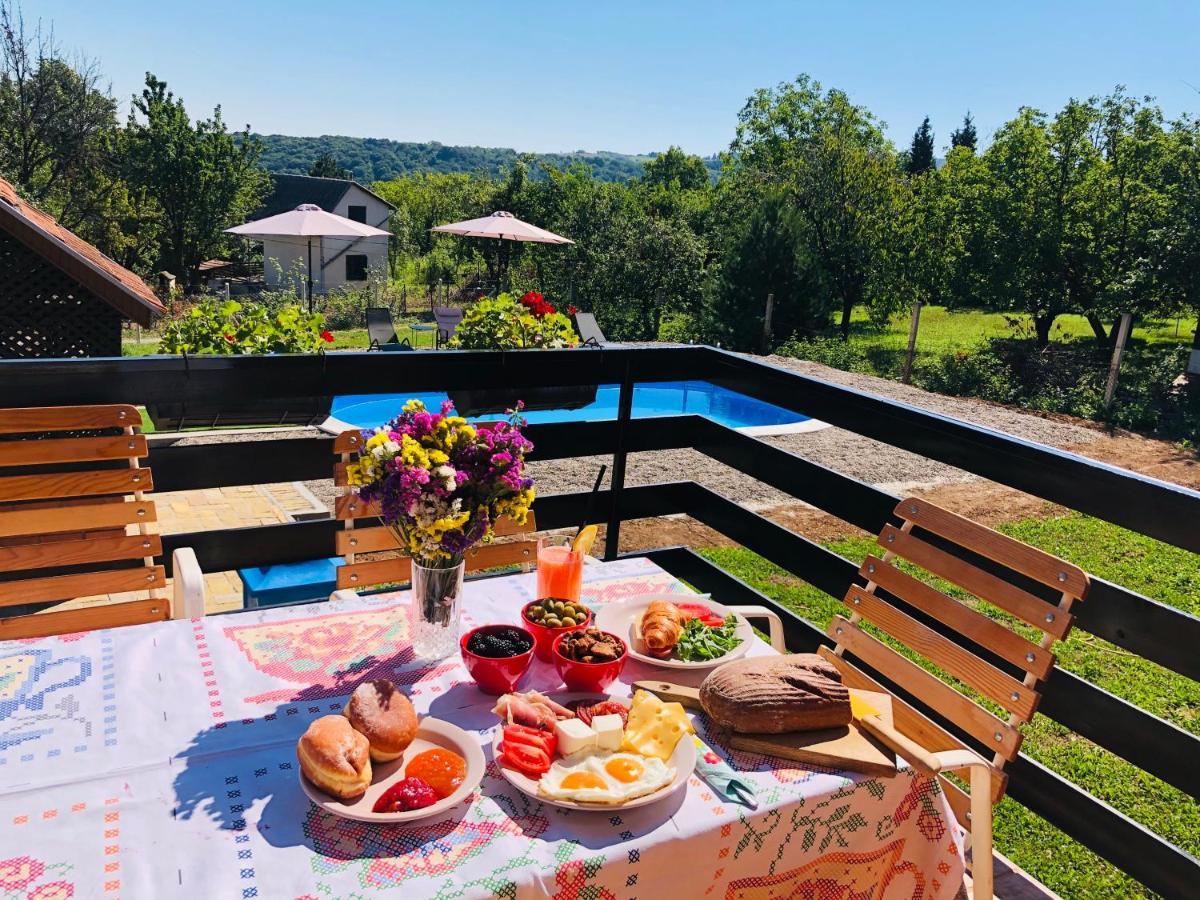 Vila Fruska Pool House Sremska Kamenica Exteriér fotografie