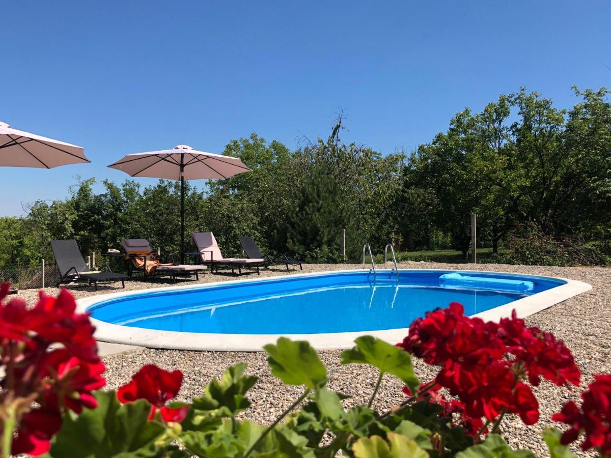 Vila Fruska Pool House Sremska Kamenica Exteriér fotografie