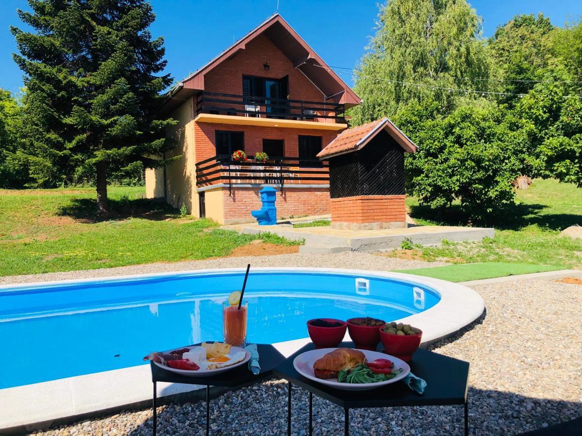 Vila Fruska Pool House Sremska Kamenica Exteriér fotografie