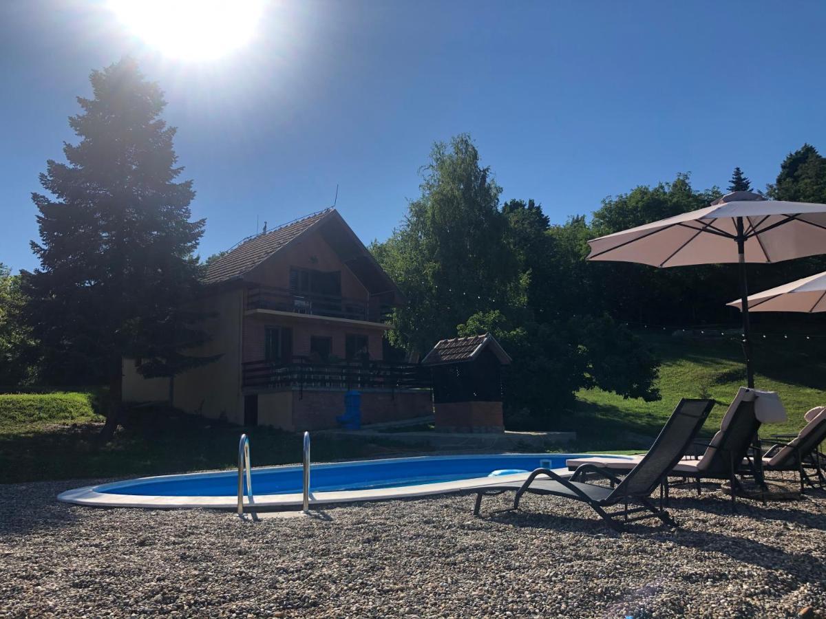 Vila Fruska Pool House Sremska Kamenica Exteriér fotografie