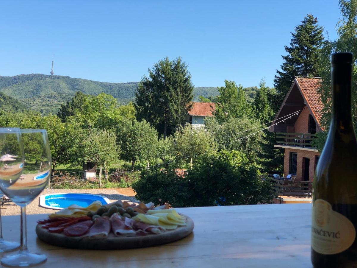 Vila Fruska Pool House Sremska Kamenica Exteriér fotografie