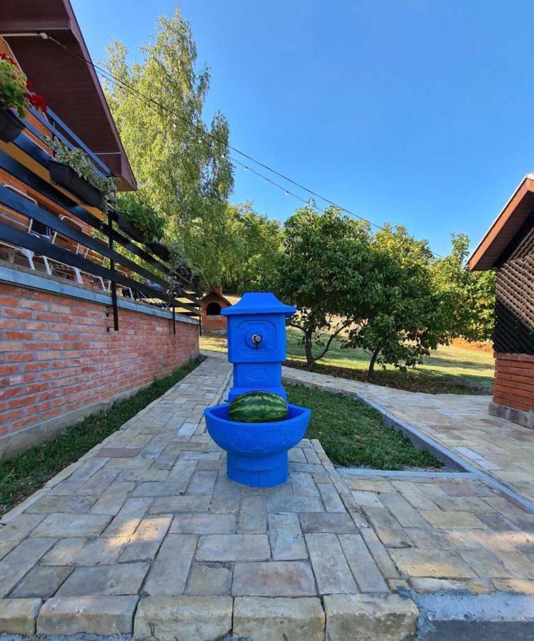 Vila Fruska Pool House Sremska Kamenica Exteriér fotografie
