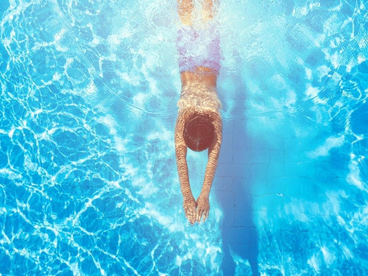 Vila Fruska Pool House Sremska Kamenica Exteriér fotografie