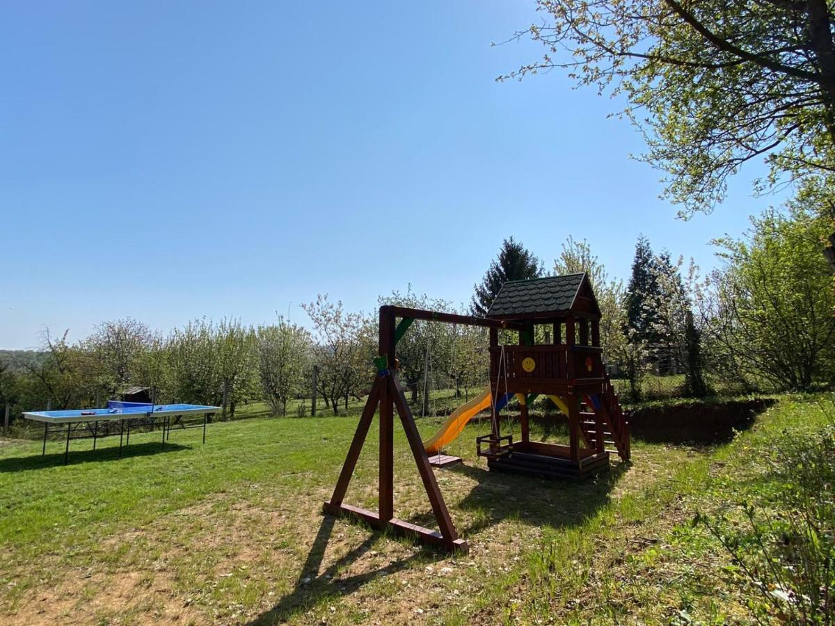 Vila Fruska Pool House Sremska Kamenica Exteriér fotografie