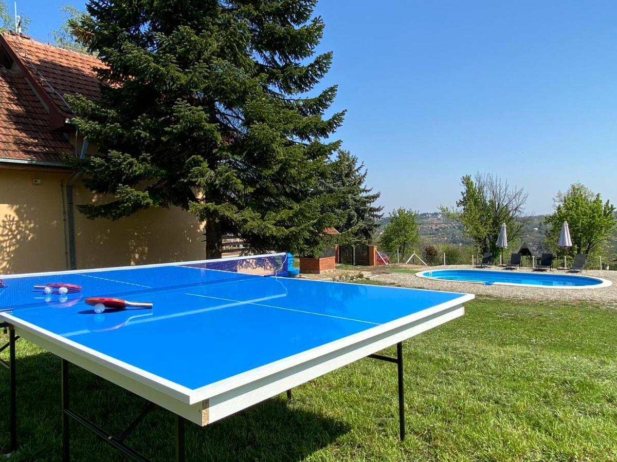 Vila Fruska Pool House Sremska Kamenica Exteriér fotografie