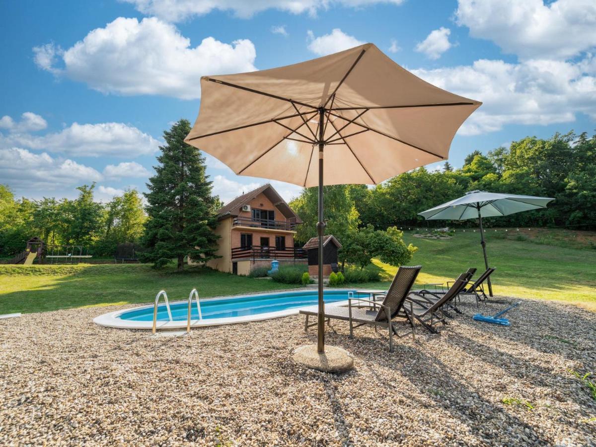 Vila Fruska Pool House Sremska Kamenica Exteriér fotografie