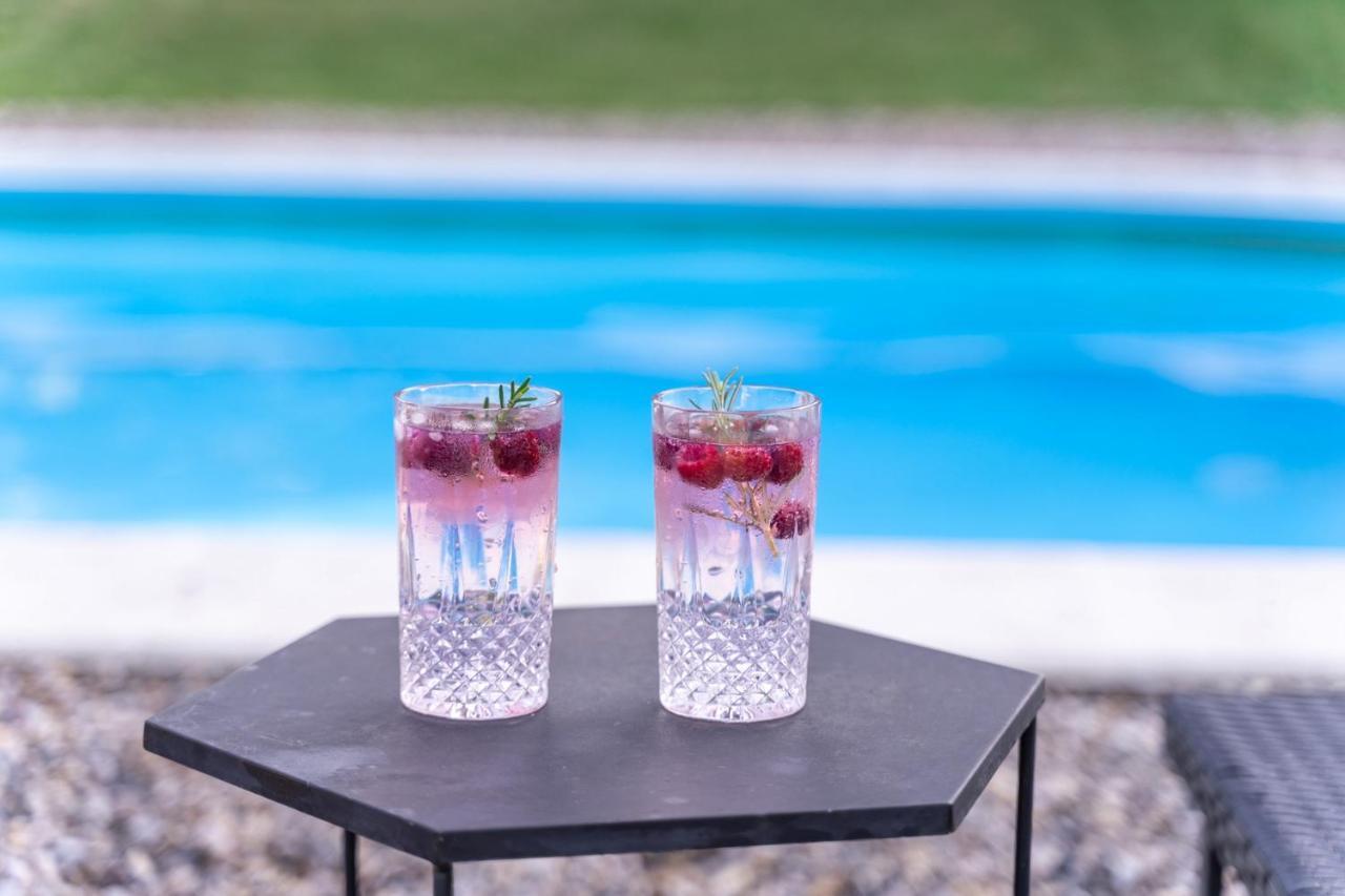 Vila Fruska Pool House Sremska Kamenica Exteriér fotografie
