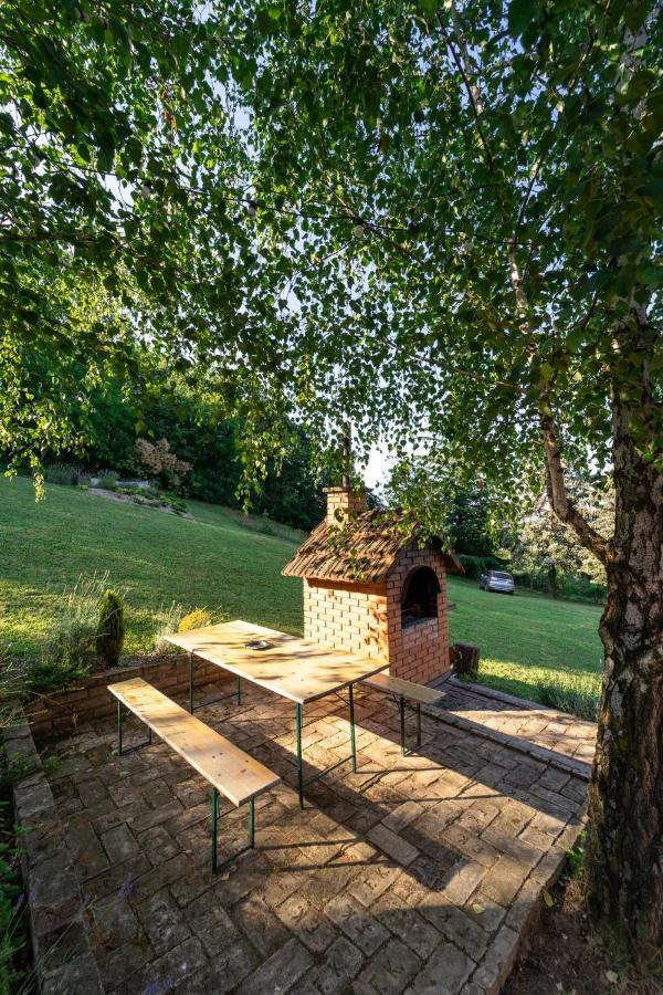 Vila Fruska Pool House Sremska Kamenica Exteriér fotografie