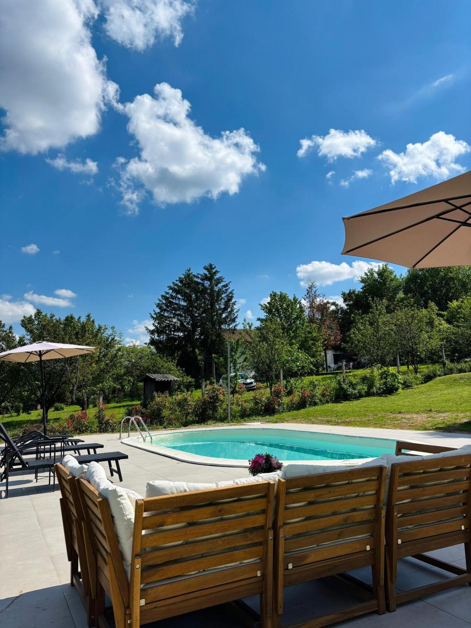 Vila Fruska Pool House Sremska Kamenica Exteriér fotografie