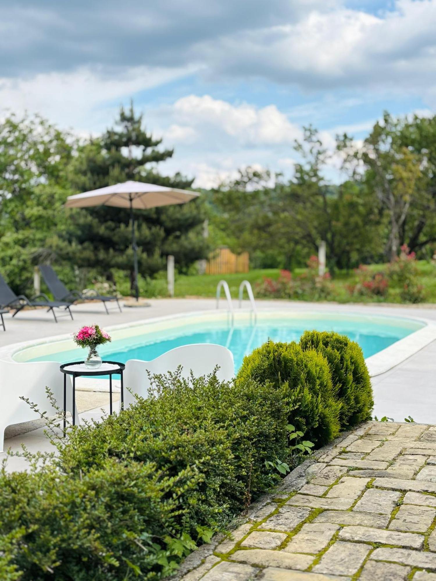 Vila Fruska Pool House Sremska Kamenica Exteriér fotografie